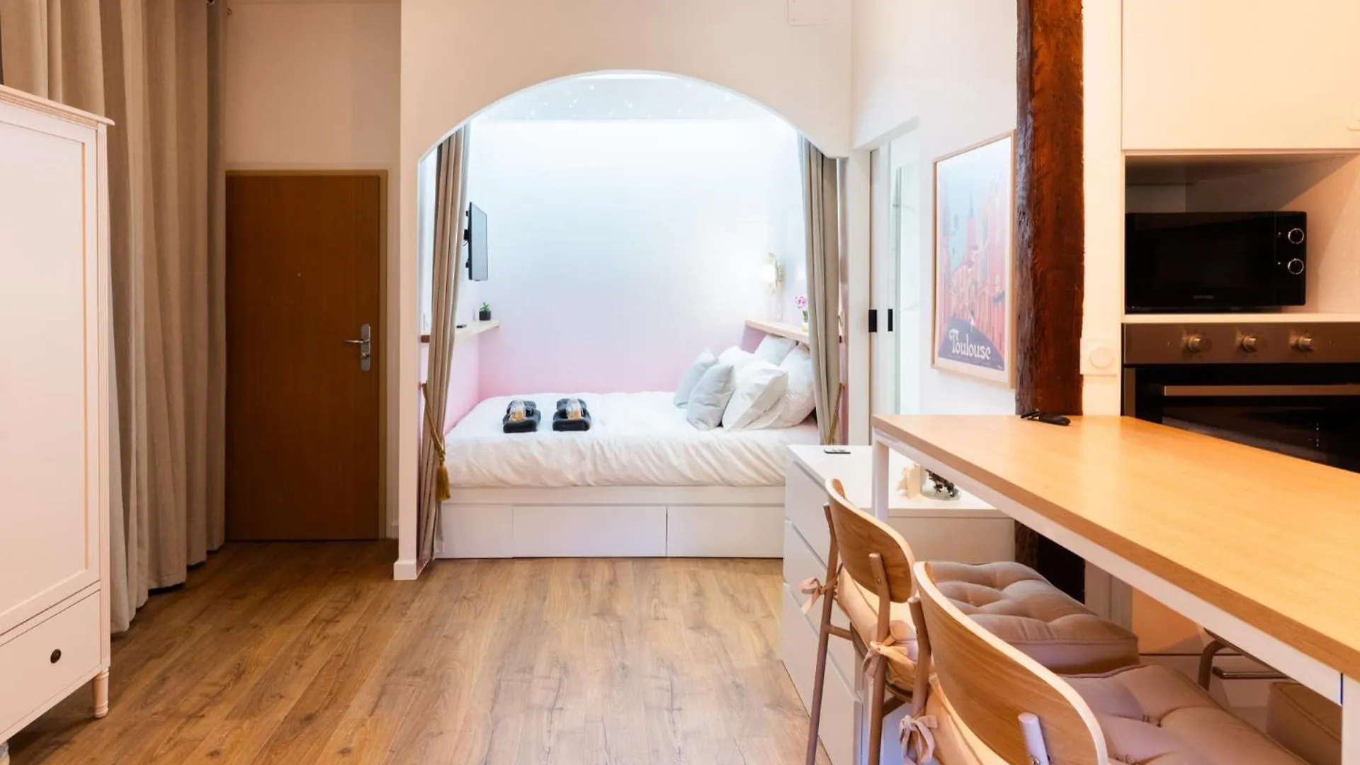Studio Toulouse Capitole La Voute Rose Apartment